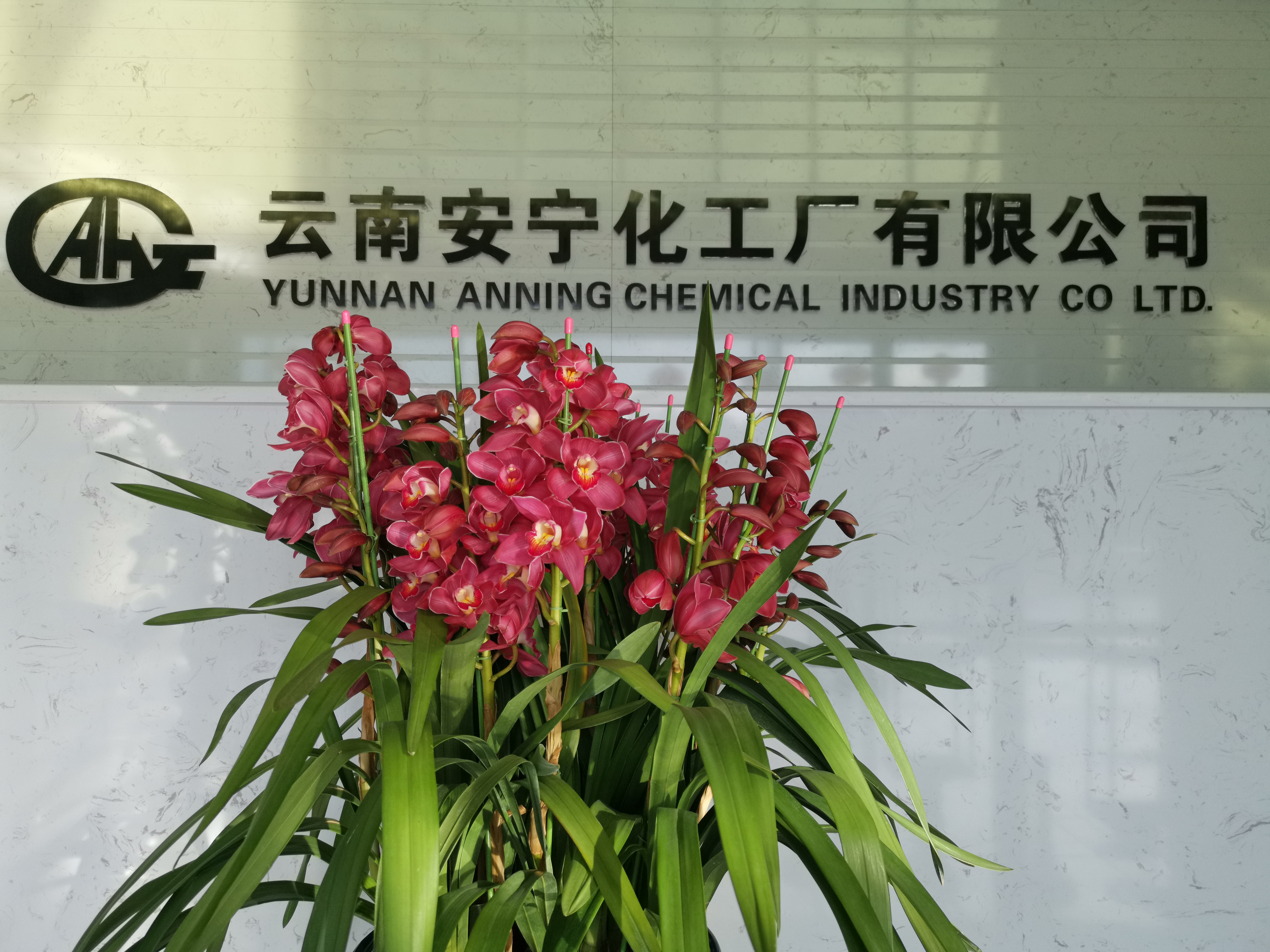 關于對 2020 年云南安寧化工廠有限公司擬聘用人員進行公示的公告